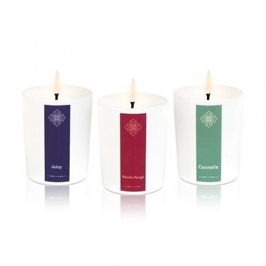 HOME FRAGRANCE SET " Three in a pair" mini scented candle 3